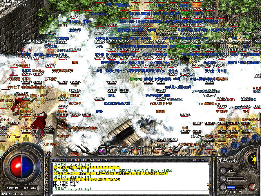 5.jpg