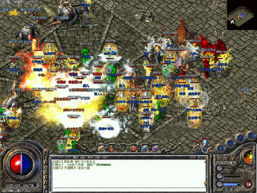 11.jpg