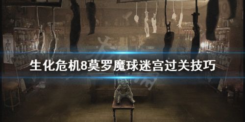 生化危机8莫罗魔球迷宫怎么过关 莫罗魔球迷宫过关技巧 生化危机8莫罗魔球迷宫怎么过关 莫罗魔球迷宫过关技巧