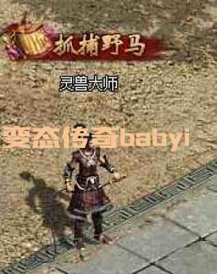 变态传奇babyi游戏截图2