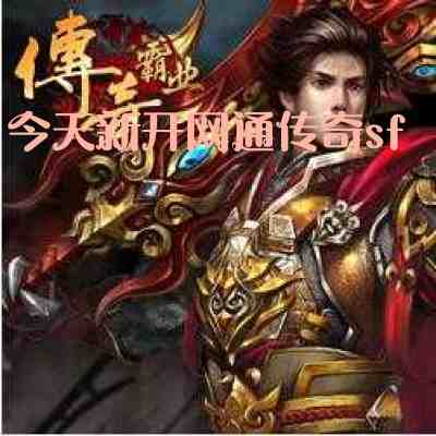 今天新开网通传奇sf游戏截图1