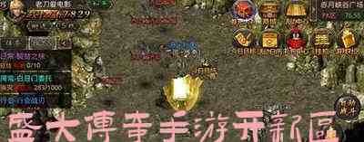 盛大传奇手游开新区游戏截图1