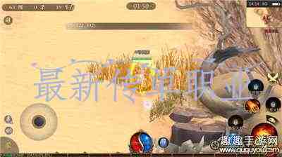 最新**职业游戏截图2